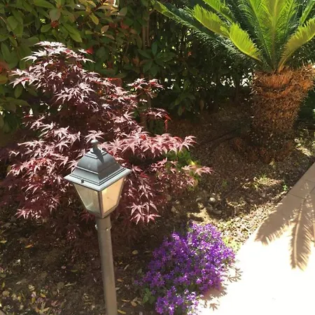 A Schiera Con Giardino *